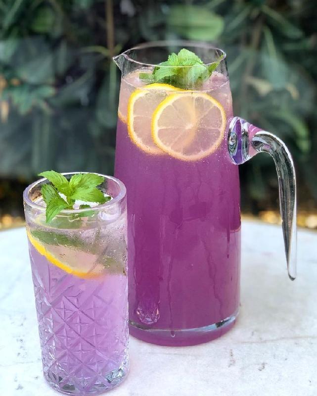 Ev sayagi Limonad