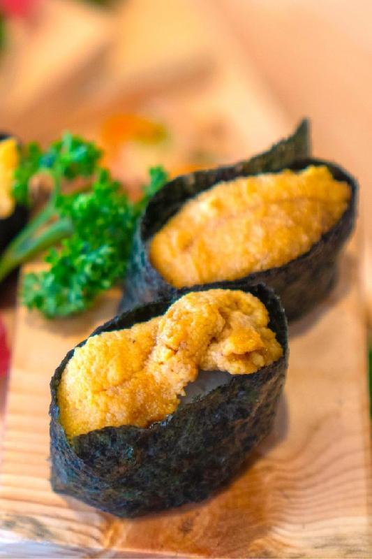 Sea Urchin
