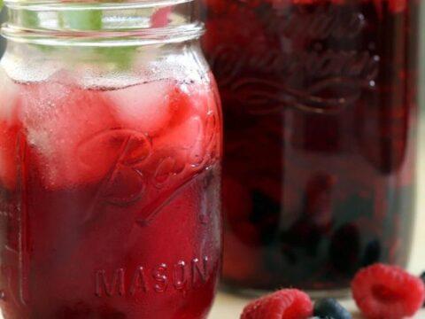 Blackcurrant & hibiscus