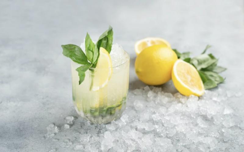 Lemon Basil Burrago