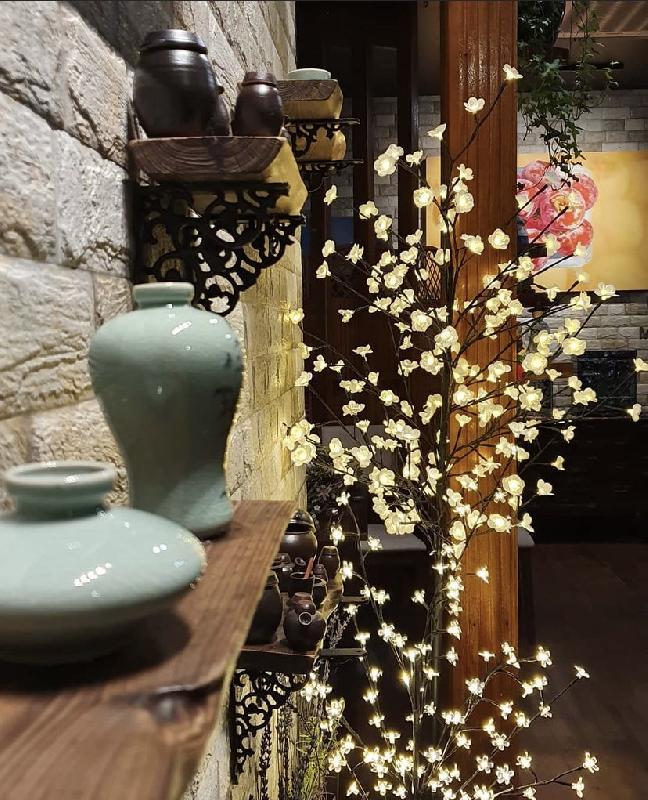 Interior view 5