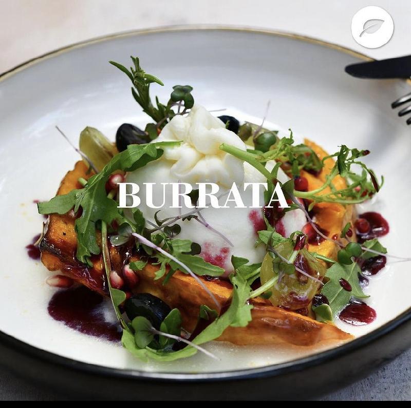 Burrata