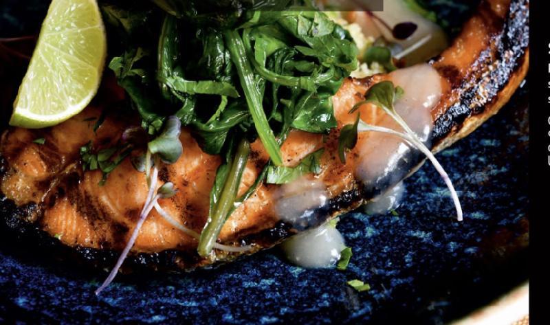 Salmon