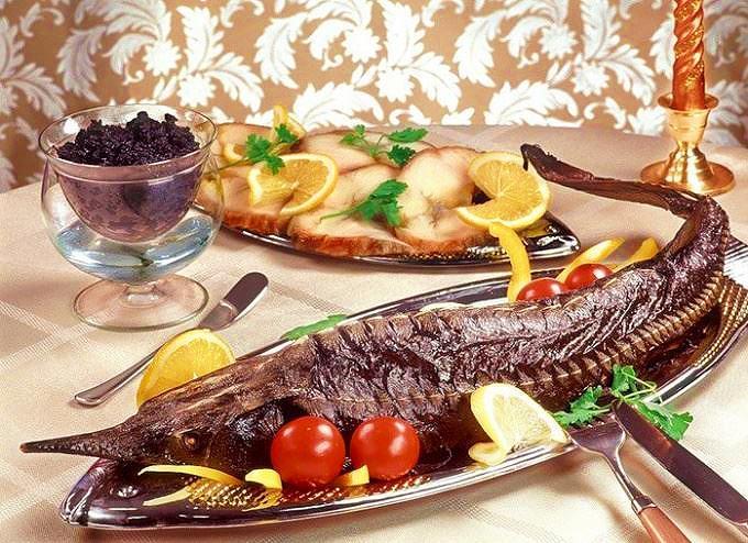 Bütöv Nərə Balığı 