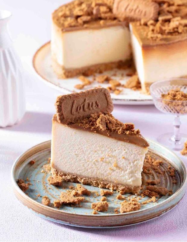 Cheesecake Lotus