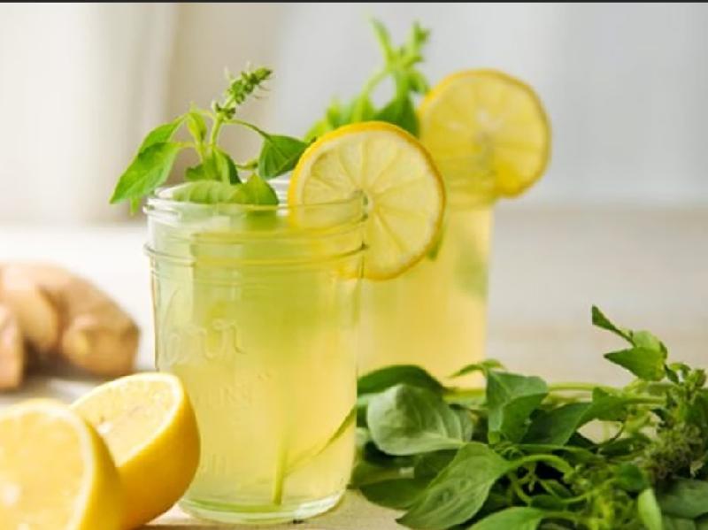 İce Tea Evsayağı