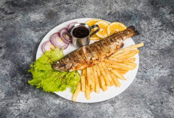 Forel Balığı