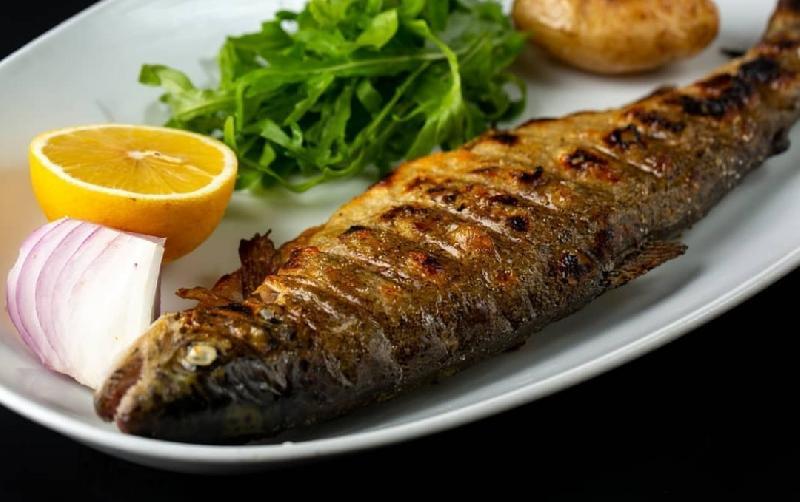 Forel