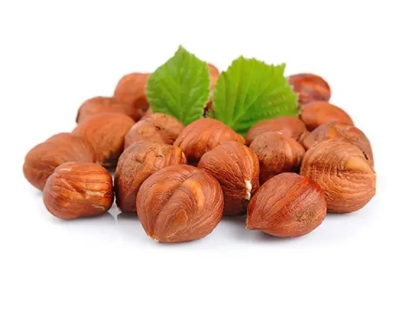 Fındıq