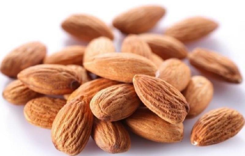 Badam
