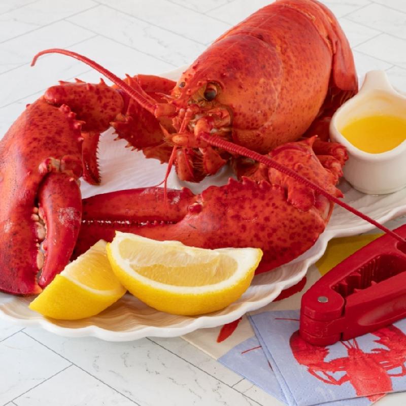 Lobster