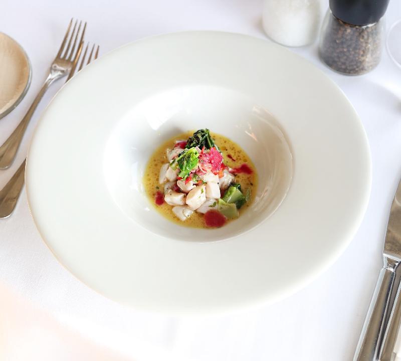 Aslan balığı ceviche bowl