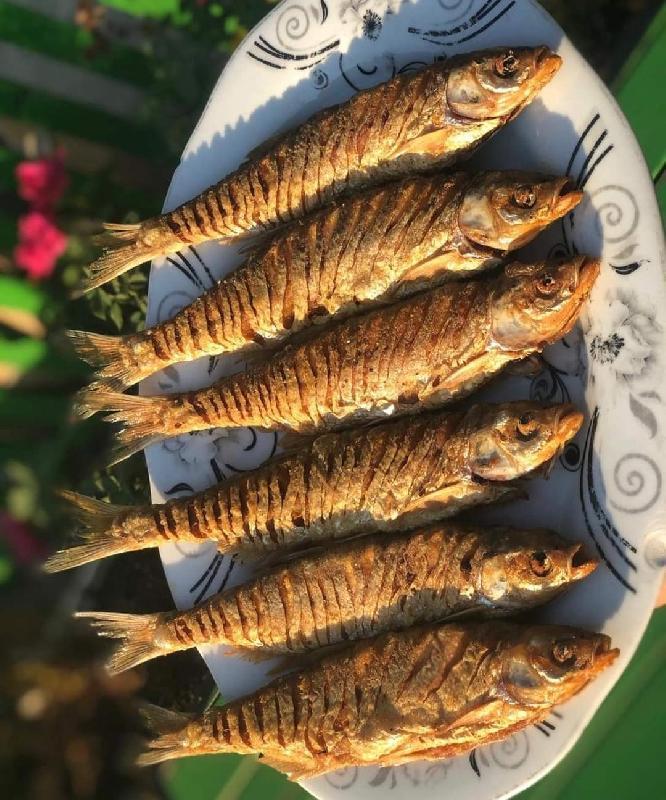 Şamayka 