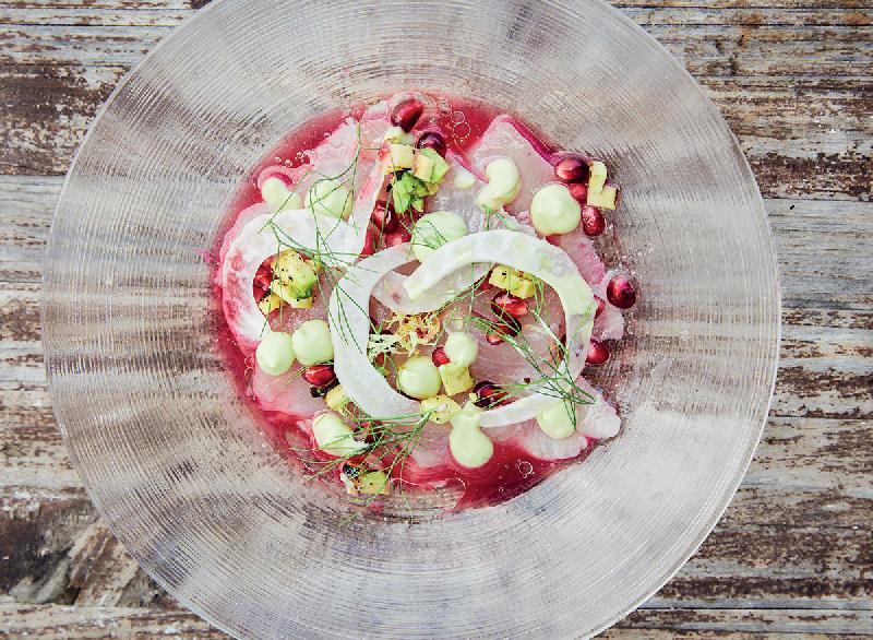 YELLOWTAIL CORIANDER