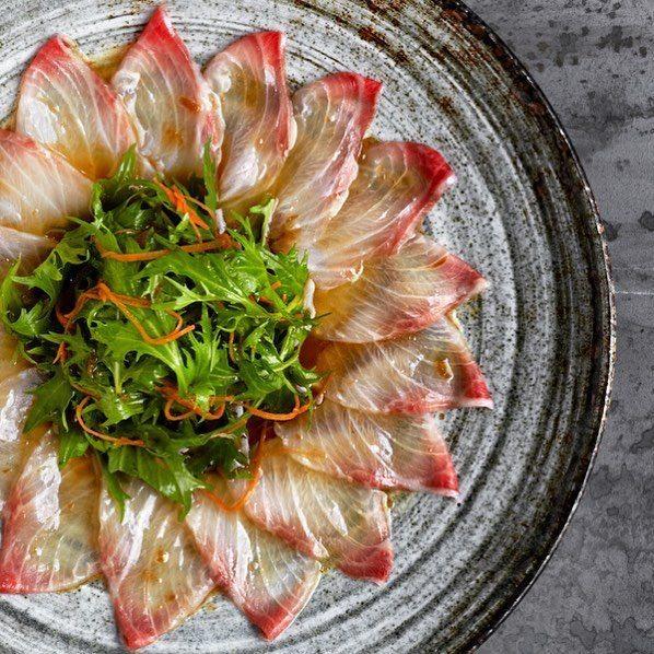 YELLOWTAIL turkish
