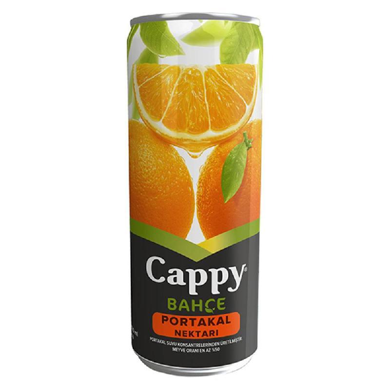 CAPPY MEYVE SUYU