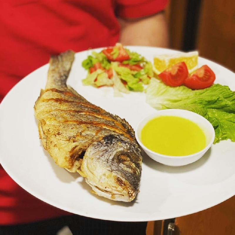 Sudak balığı