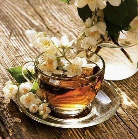 Jasmin