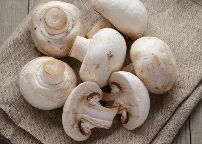 Mushroom