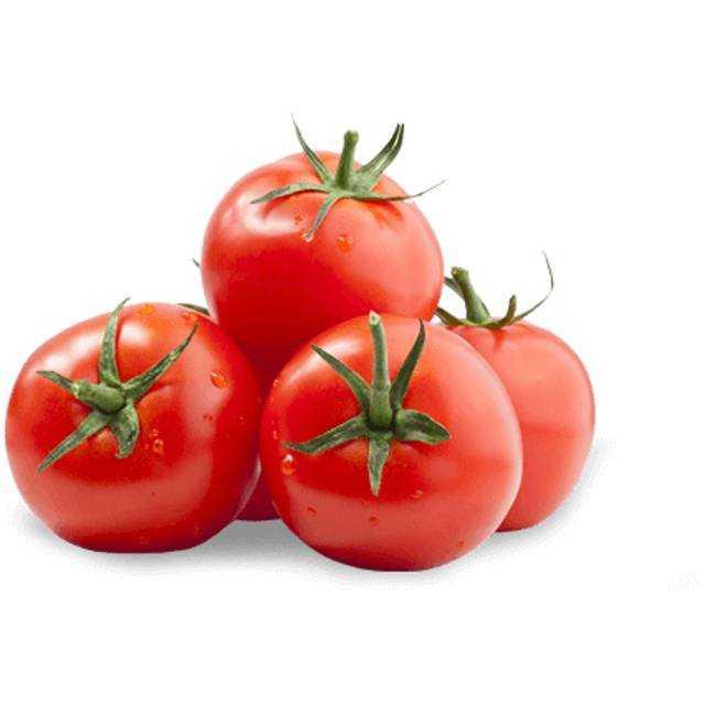 Pomidor