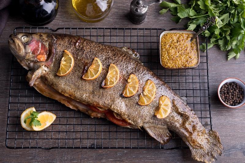 Forel