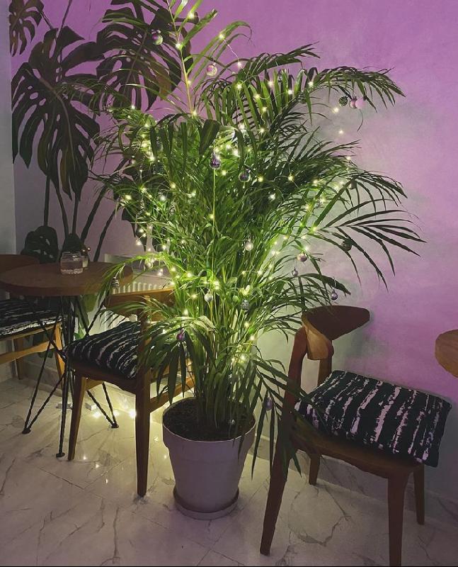 Interior view 1