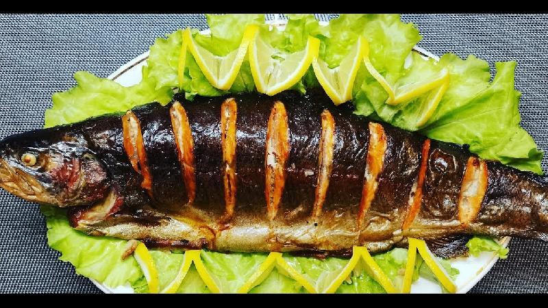Forel