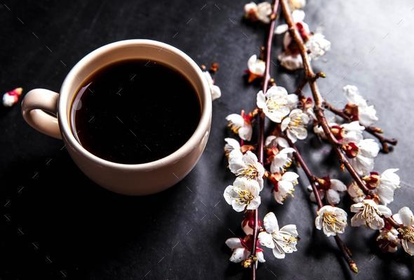 CHEERY BLOSSOM