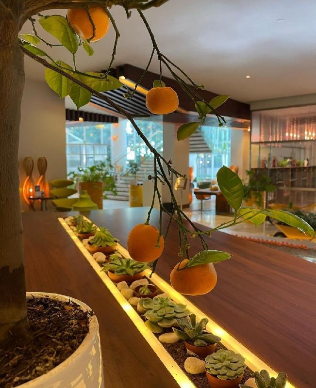 Interior view 8