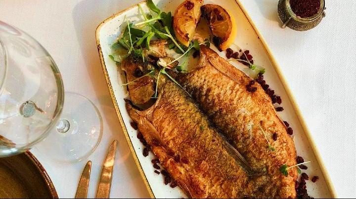 Forel