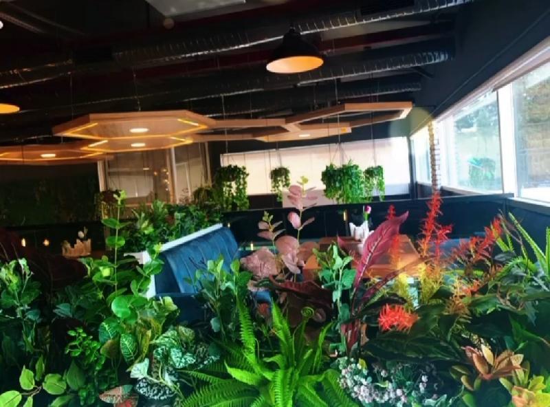 Interior view 2