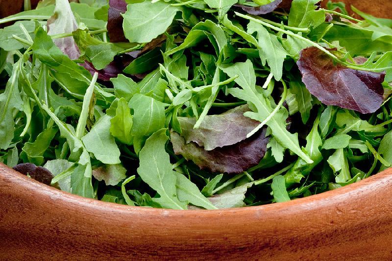 Mesclun Garden Greens 