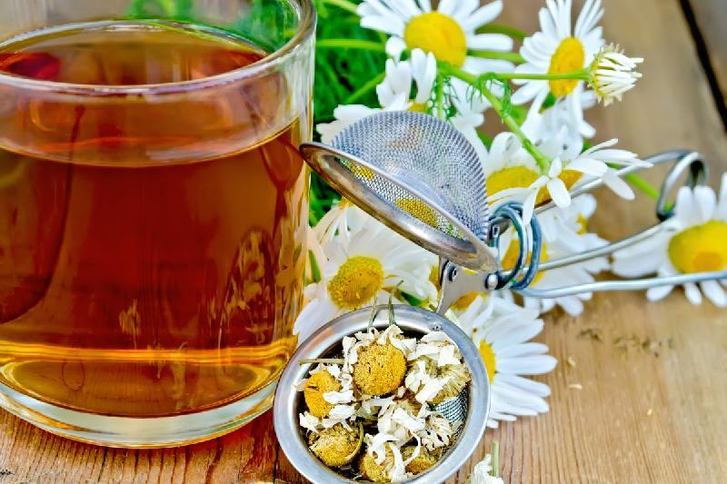 Egyptian Camomile Organic