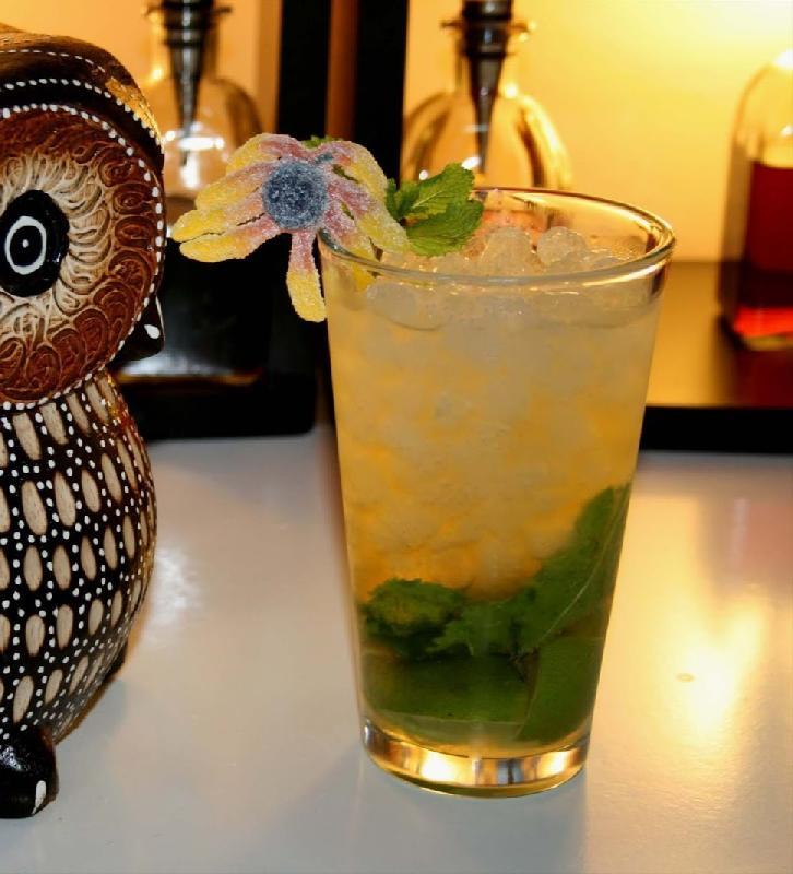Mojito Energy