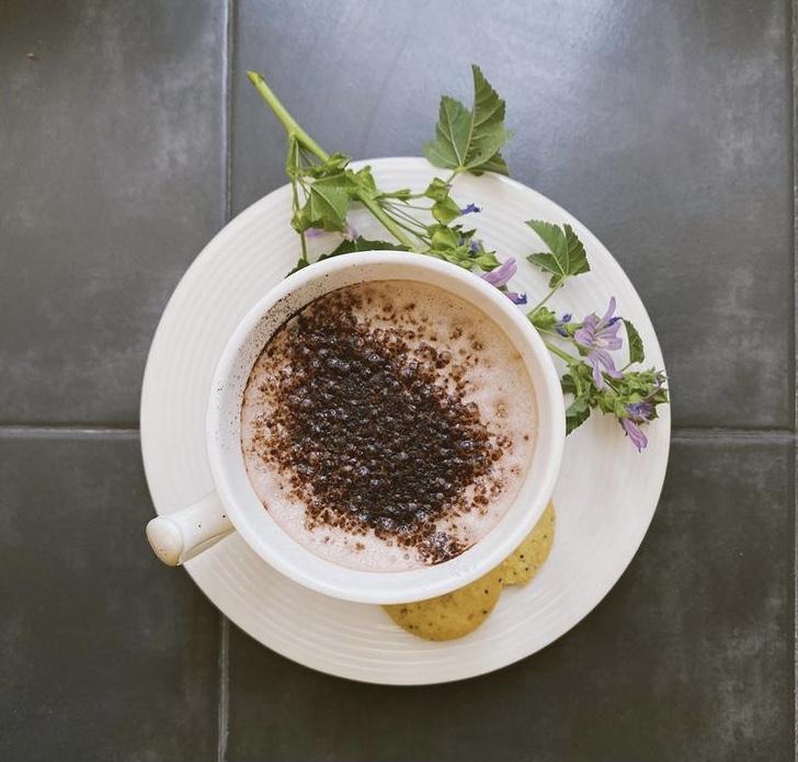 Cocoa