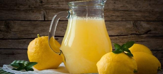 Sitruslu Limonad