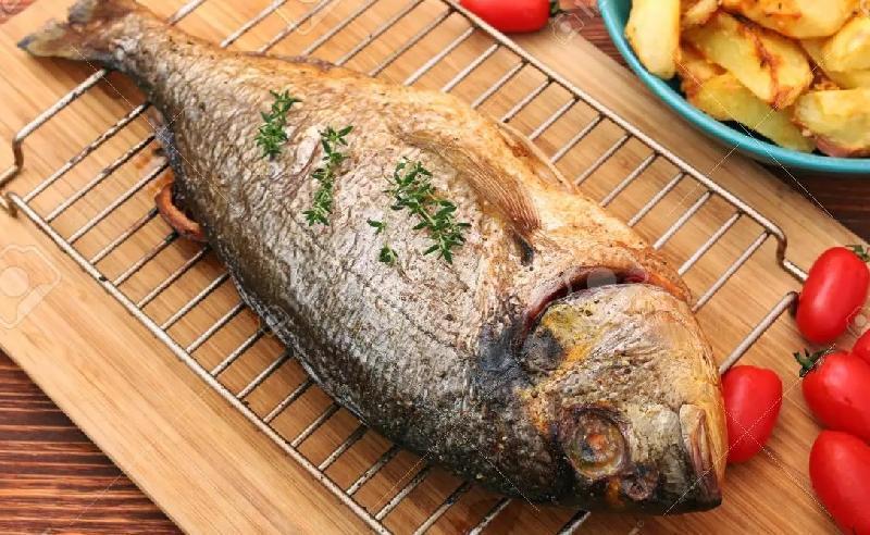 Dorado Balığı Qrildə