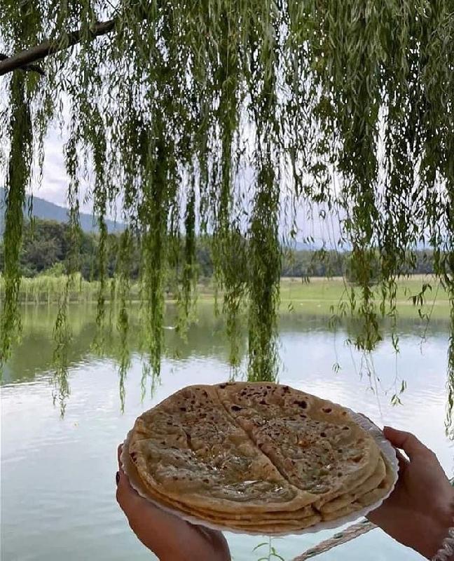 Balqabaq Qutabları