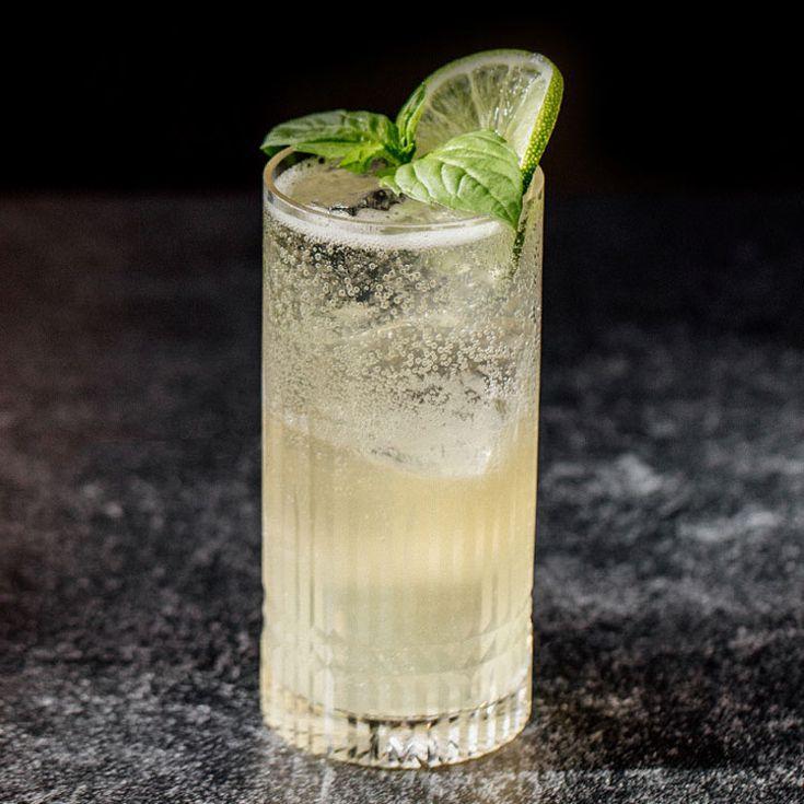 Tom Collins 