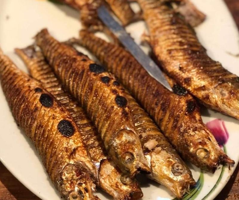Somayka Balığı 