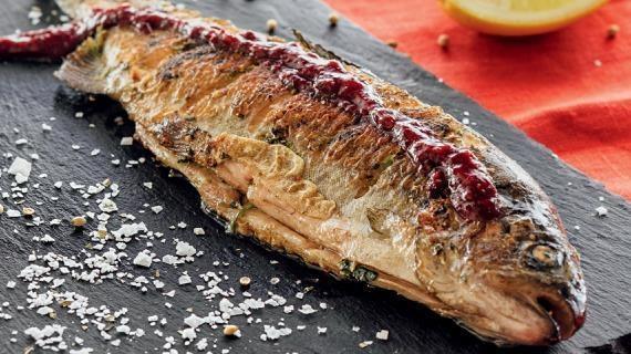 Forel Balığı