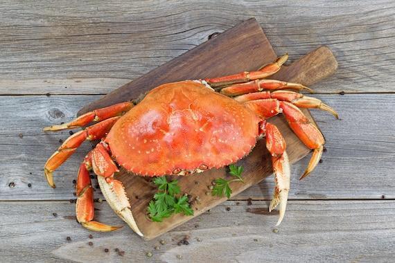 Krab