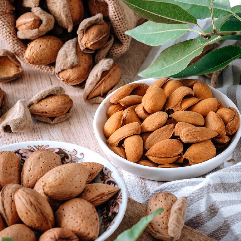 Badam
