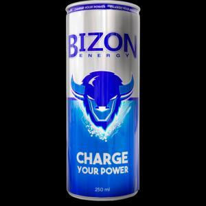 Bizon