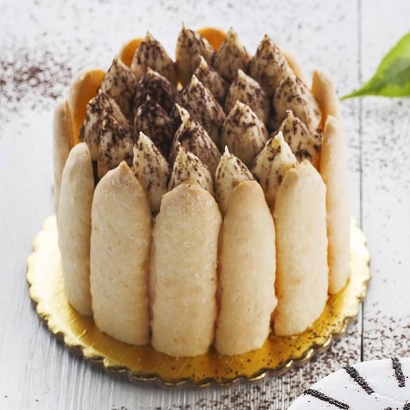 Tiramisu Saviordi