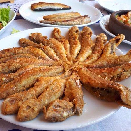Hamasi balığ