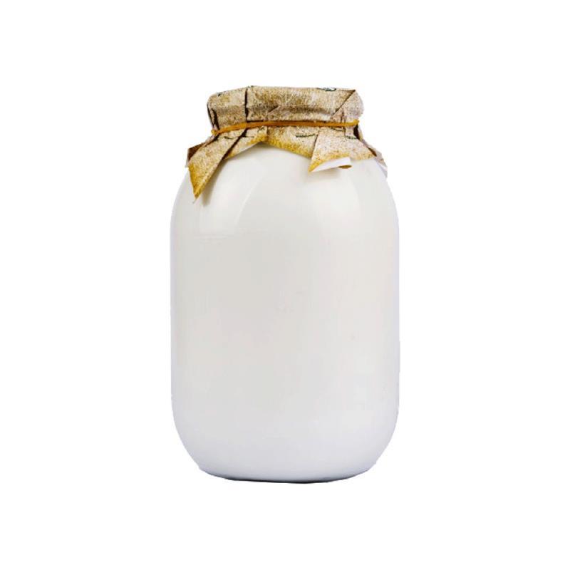 Kənd qatığı