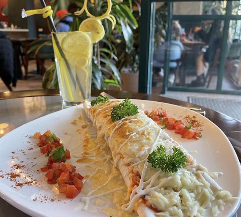Burito Toyuq