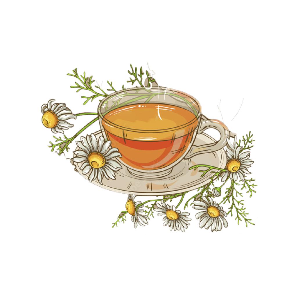 Chamomile Tea