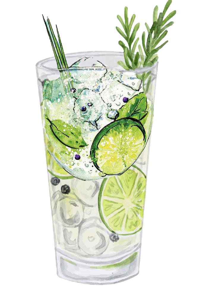 Gin &... Tonic